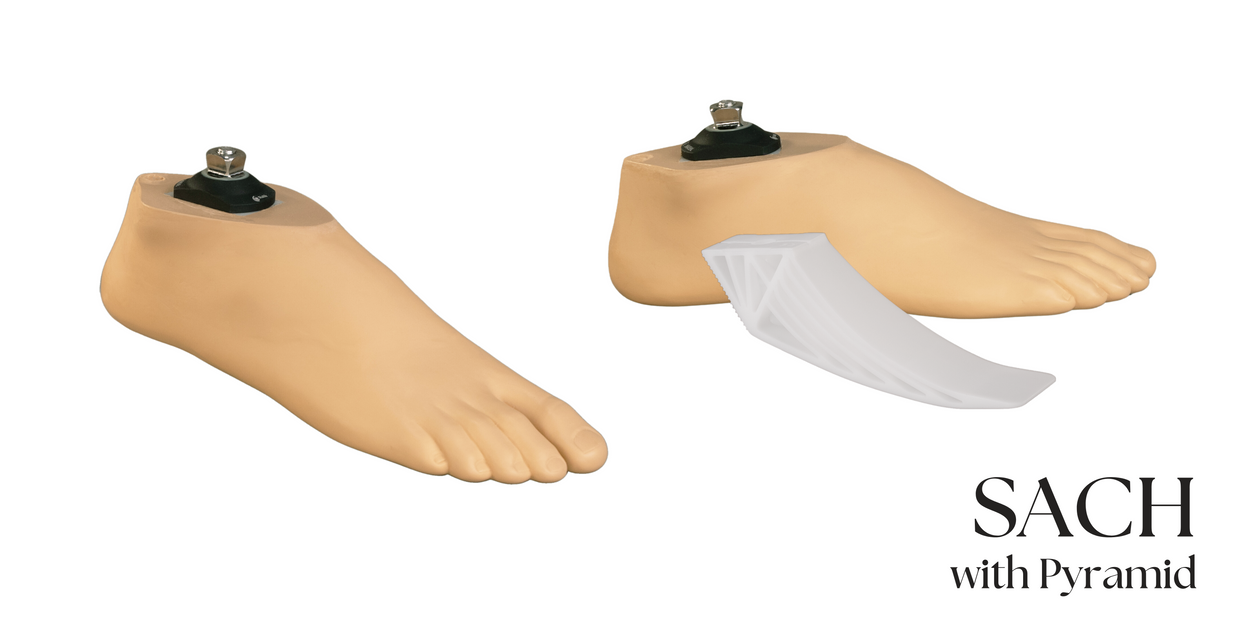  feeフィート Amazon.com: ZFBBD Women's Retro Fashion Sneakers - Chunky